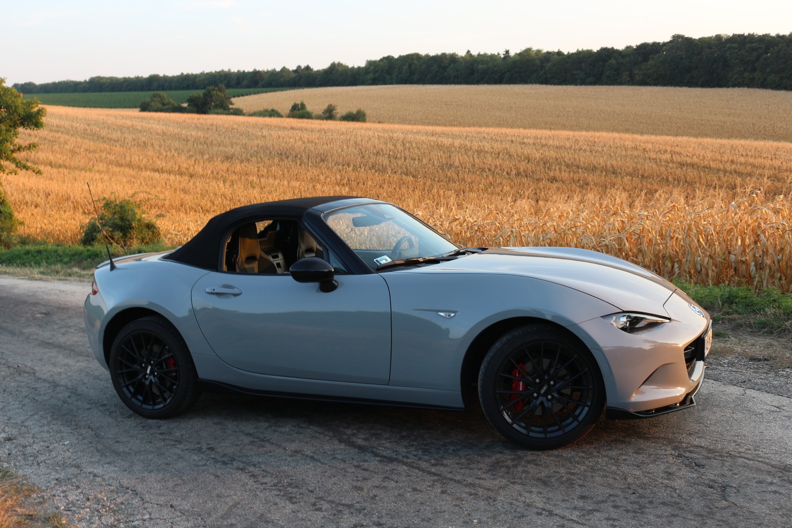 Mazda MX-5 Roadster