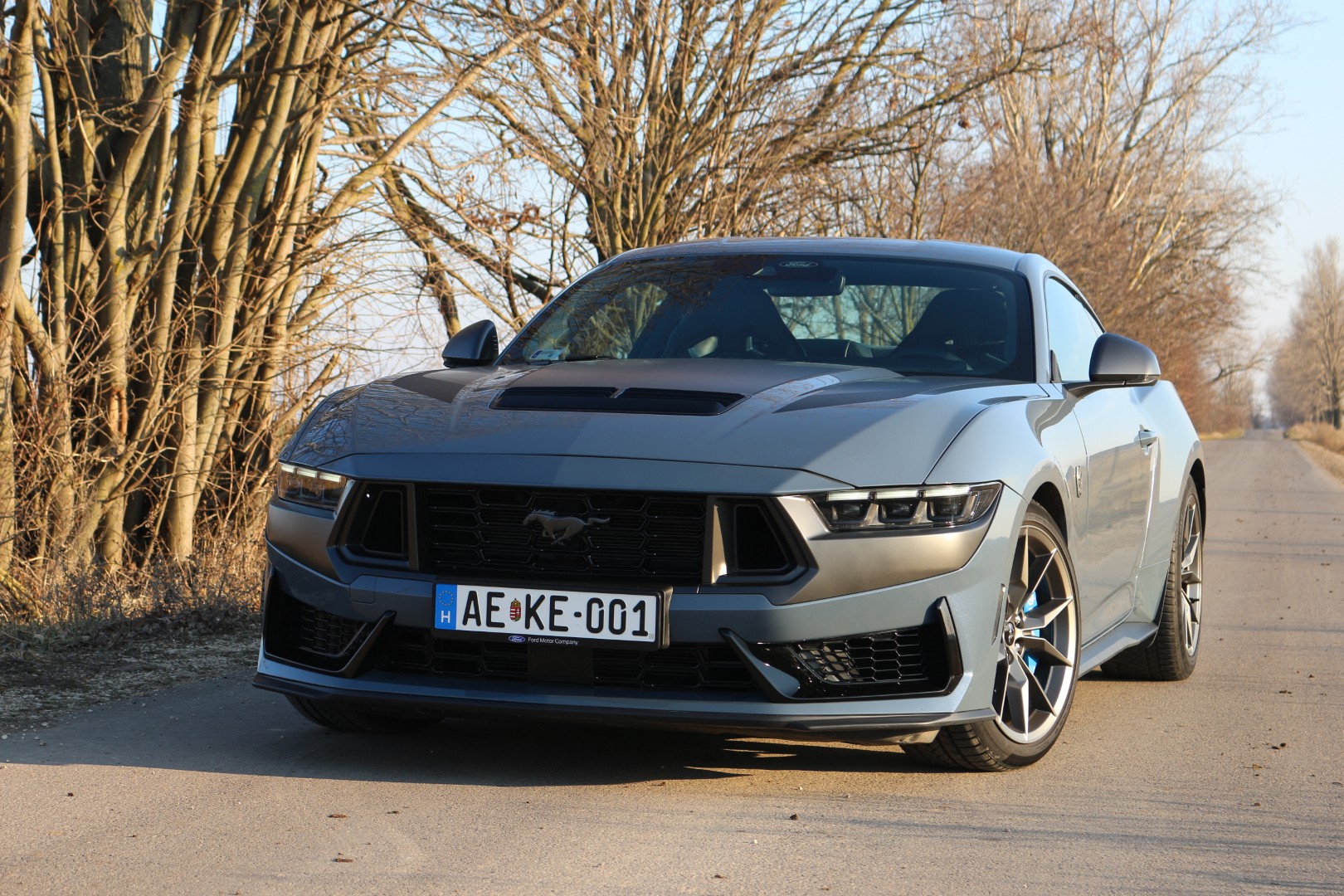 Ford Mustang Dark Horse